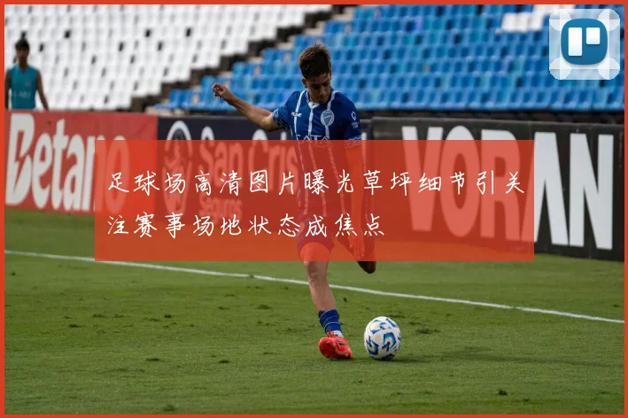 足球场高清图片曝光草坪细节引关注赛事场地状态成焦点