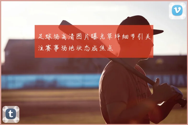 足球场高清图片曝光草坪细节引关注赛事场地状态成焦点