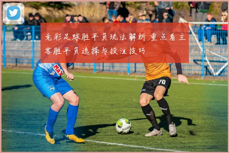 竞彩足球胜平负玩法解析 重点看主客胜平负选择与投注技巧