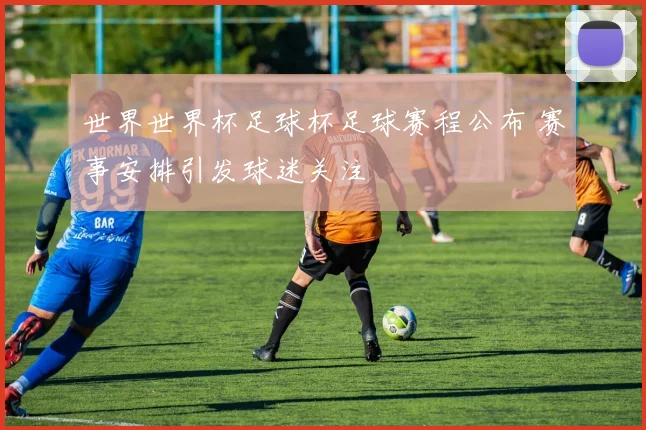 世界世界杯足球杯足球赛程公布 赛事安排引发球迷关注