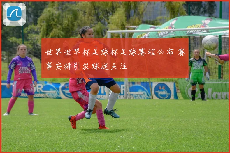 世界世界杯足球杯足球赛程公布 赛事安排引发球迷关注