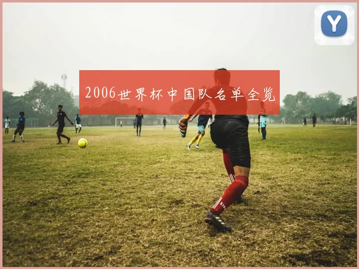 2006世界杯中国队名单全览
