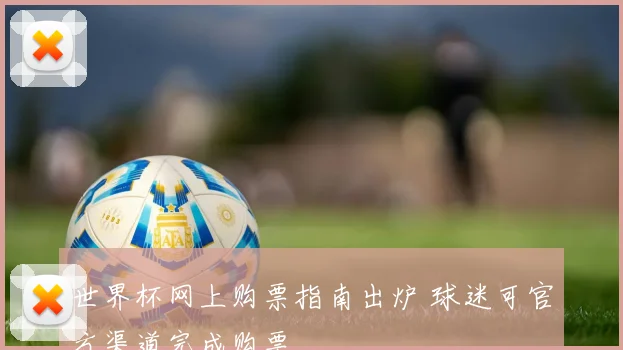 世界杯网上购票指南出炉 球迷可官方渠道完成购票